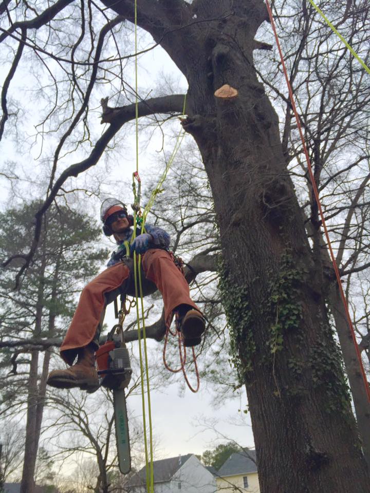 12646998_10102981413934626_3333592218995759607_n